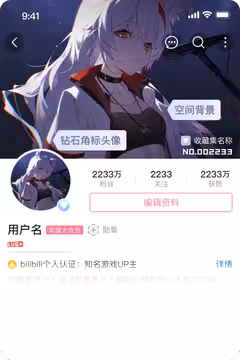 预览