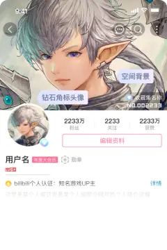 预览