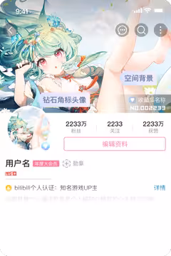 预览