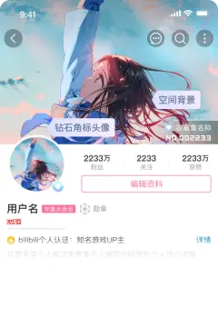 预览