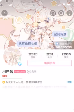 预览