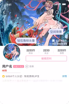 预览