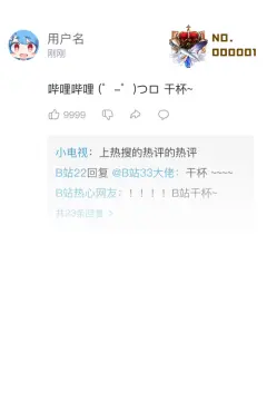 预览