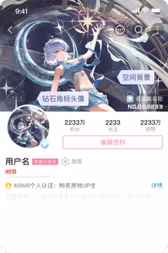 预览