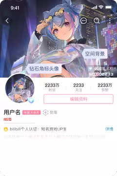 预览
