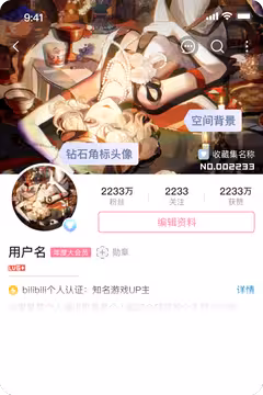 预览