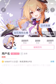 预览