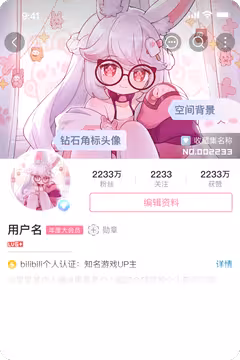 预览
