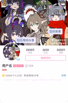 预览
