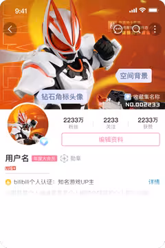 预览