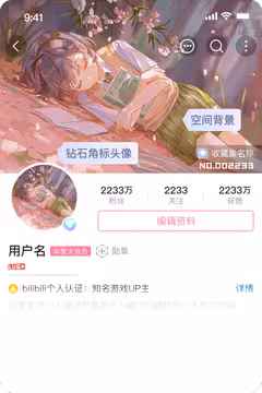 预览
