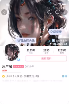预览