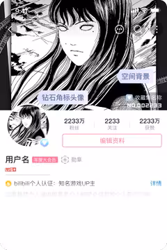 预览