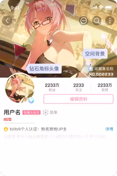 预览