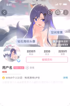 预览