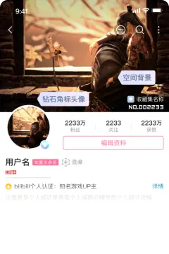 预览