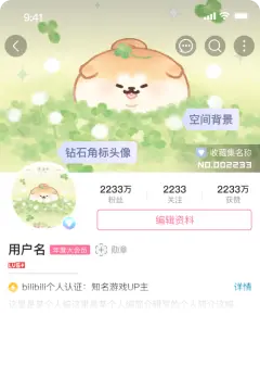 预览