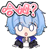 预览