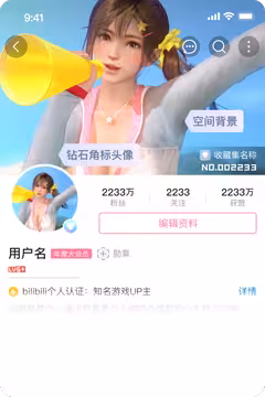预览