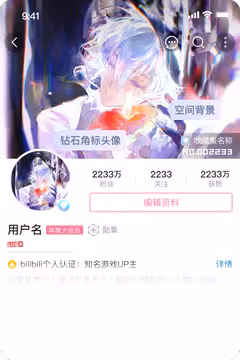 预览
