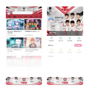 预览