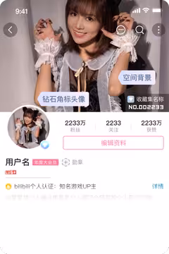 预览