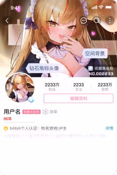 预览