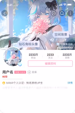 预览