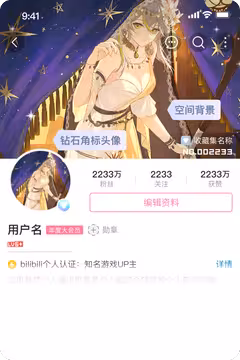 预览