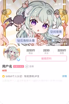 预览