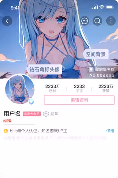 预览