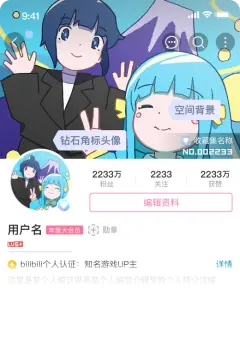 预览