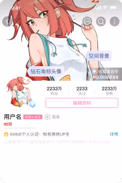 预览