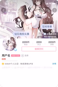 预览