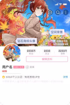 预览