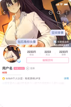 预览
