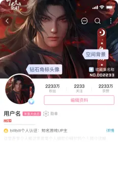 预览