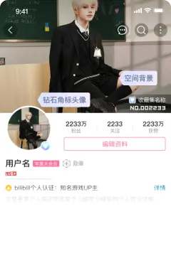 预览