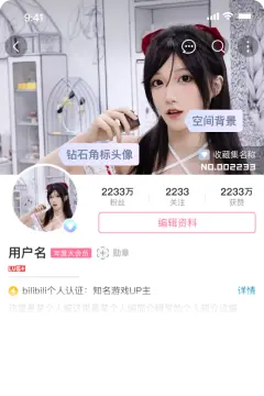 预览
