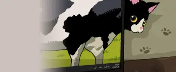 预览