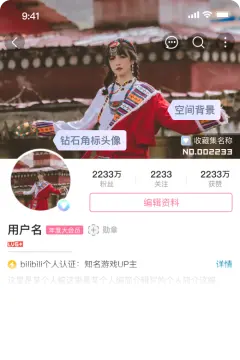 预览