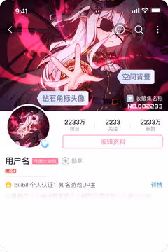 预览