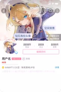 预览