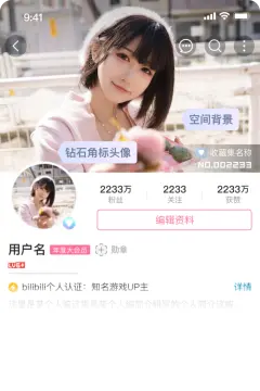 预览