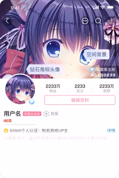 预览