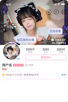 预览