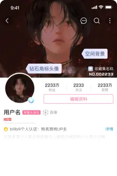 预览