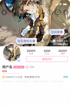 预览