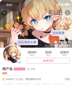 预览