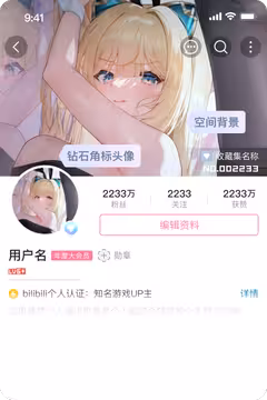 预览